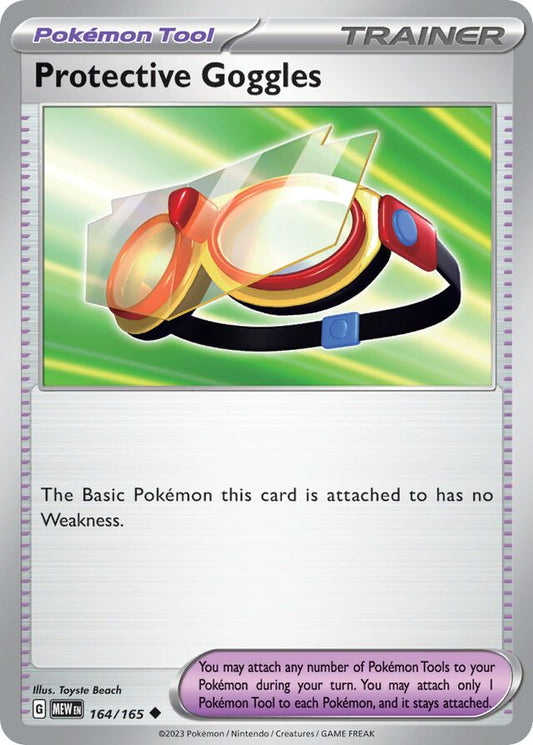 Protective Goggles Reverse Holo 164/165